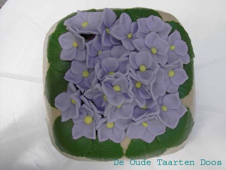 012_20090717 Hortensia (3)