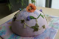 003_20100210 Vruchtencake met bloemen (775)