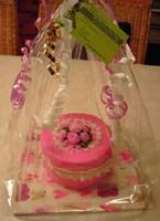 005_20100114 Roze Rozen