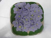 012_20090717 Hortensia (3)