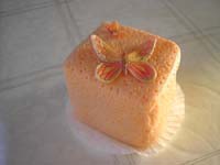 022_20090308 Gebakjes (16)